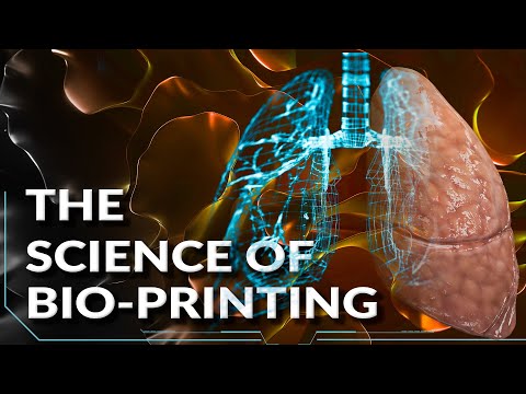 3D Printing of Organs: Can We Really Create Human Body Parts?